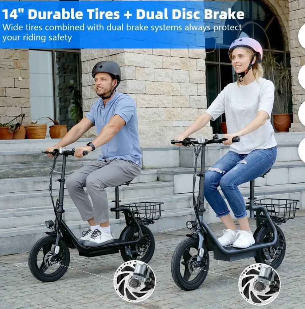 Electric Scooter