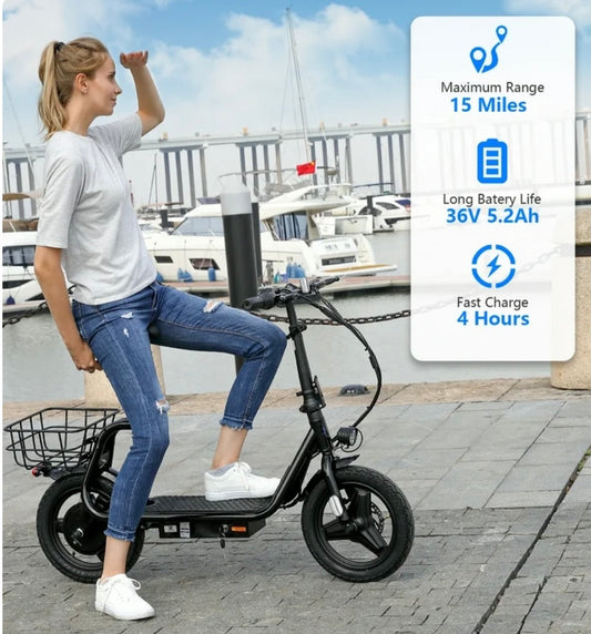 Electric Scooter