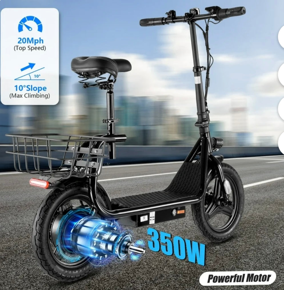 Electric Scooter